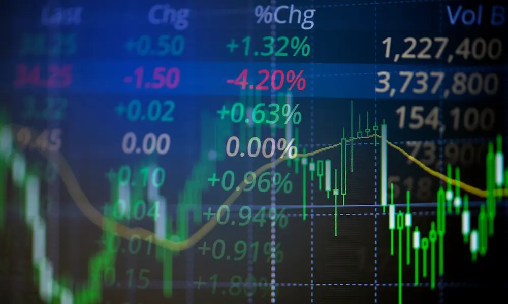 How to Choose Between Reinvesting and Withdrawing Dividends
